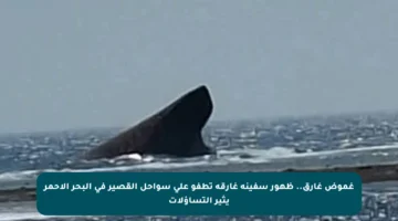 غموض غارق.. ظهور سفينة غارقة تطفو على سواحل القصير في البحر الأحمر يثير التساؤلات